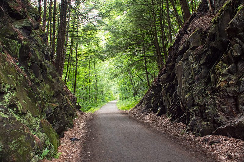 A path leads straight ahead through a forest.