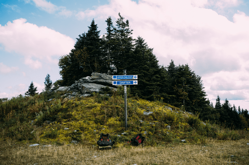 A directional sign indicating trail locations outside in the summer on top of a mountain.