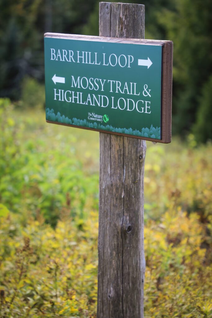 Barr Hill Loop and Mossy Trail & Highland Lodge Trail signage.