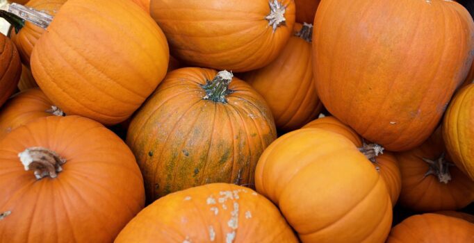 Up close view of a pile of pumpkins.