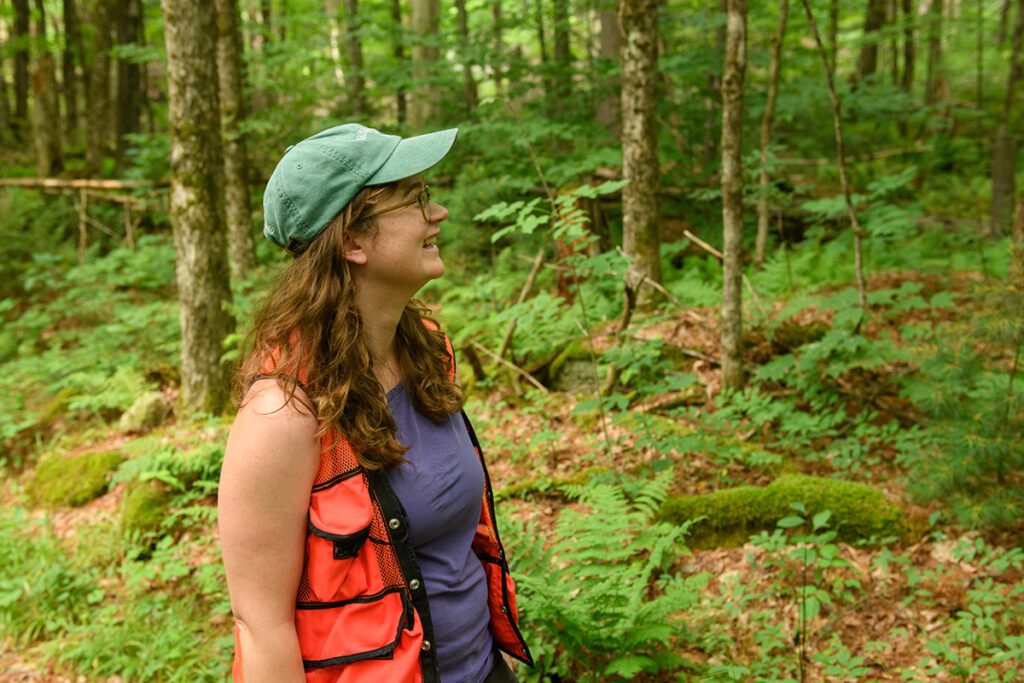 A person wearing a green hat and an orange vest, stands in the woods on a warm day.