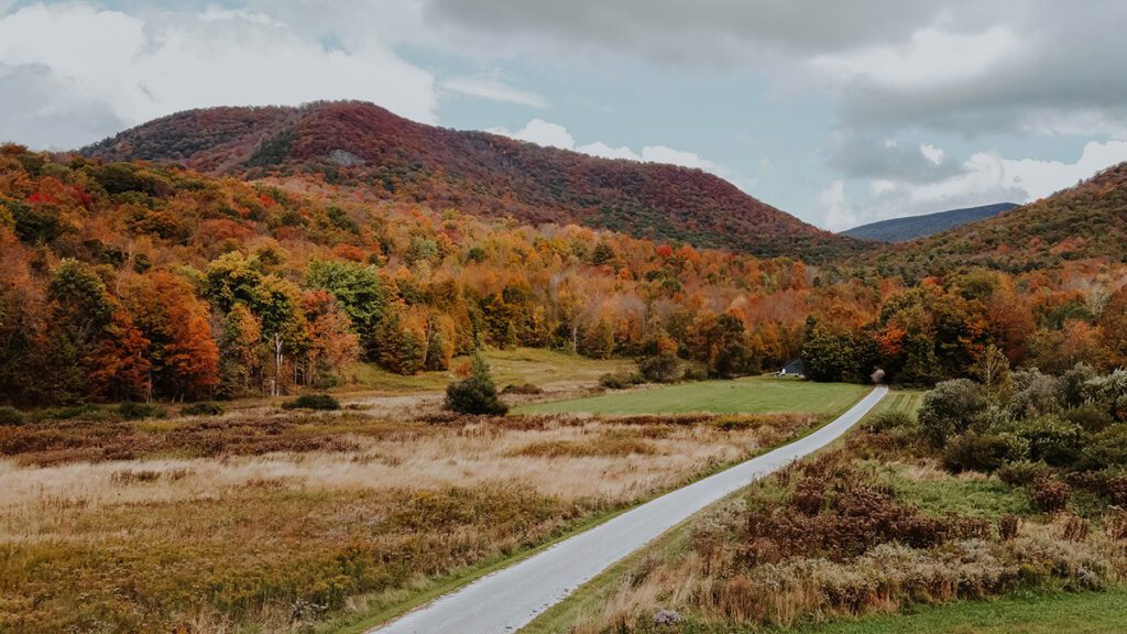 A road leads through forests with bright orange, red, and yellow leaves on trees in the fall. The sky is overcast, lending the image a haunted feeling.