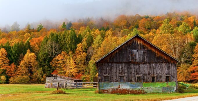 A wooden cabin is surrounded by trees full of fall color and fog.