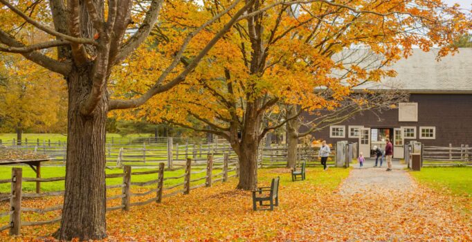 Seen from afar, people walk through a farm in the fall with blazing orange foliage.
