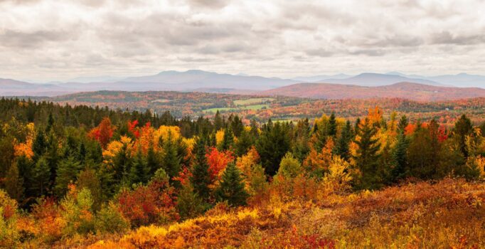 Seen from the top of a hill, trees in fall color are seen into the distance with mountains in the background.