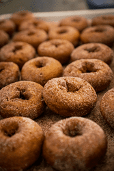 Rows of cider donuts are laying on a tray.