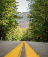 two people walking on a paved road surrounded by fall foliage