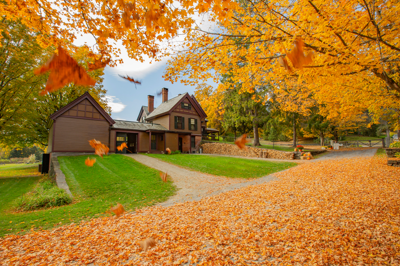 A brown building is surrounded by trees with yellow and orange leaves in the fall.