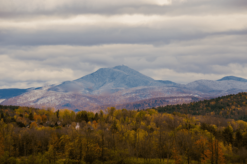 A snowy mountain peak in the distance is preceded by a valley filled with trees in peak foliage colors.