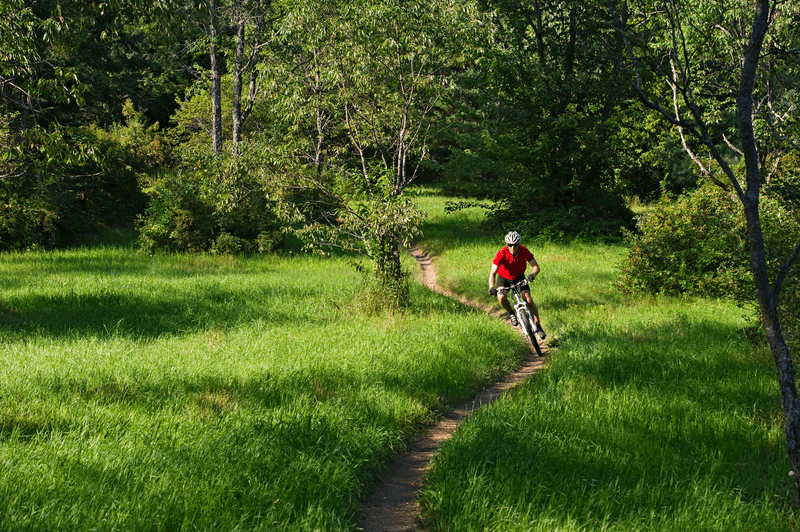 A person wearing a red shirt rides a bicycle along a single track trail in the woods.