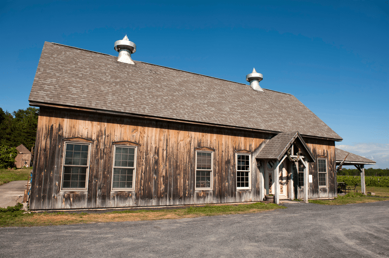 Seen from across a gravel parking lot, a brown, wooden building fronting fields of grapes.