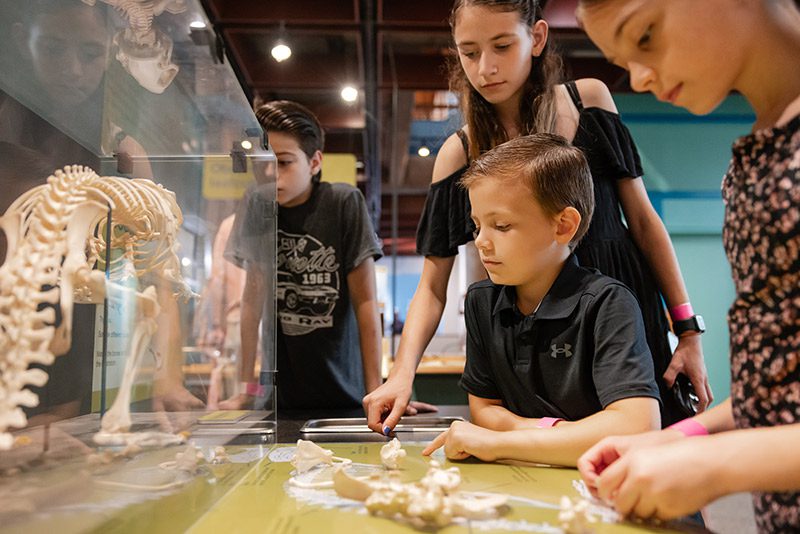 Four kids look at a dinosaur exhibit in a museum.