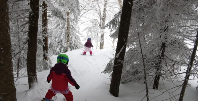 Two children on small skis in a forest.