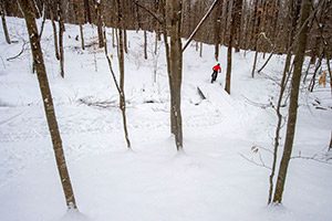 A person, wearing red, rides a fat bike down a snowy trail.