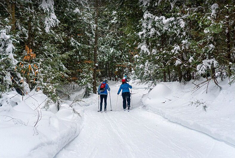 Two people, wearing blue jackets, cross country ski down a snowy path in the woods.