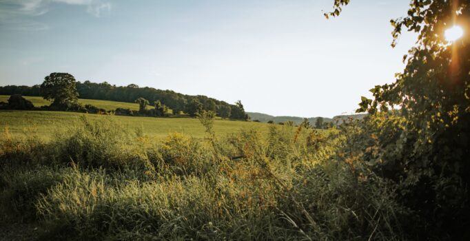 Rolling hills and grassy fields in the early morning hours.
