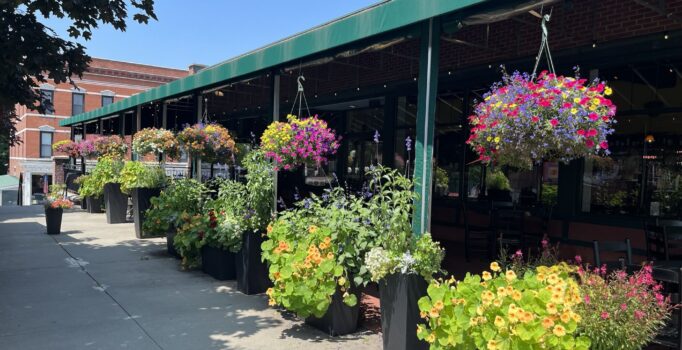 Flowers hang from pots along the side of a building on a warm day.