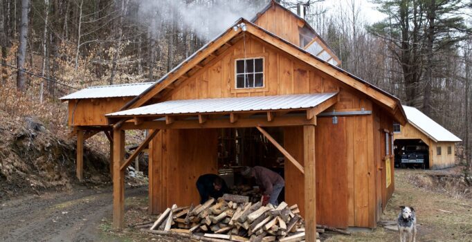 A dog sits in front of a maple sugar house in the spring with steam emanating from the top.