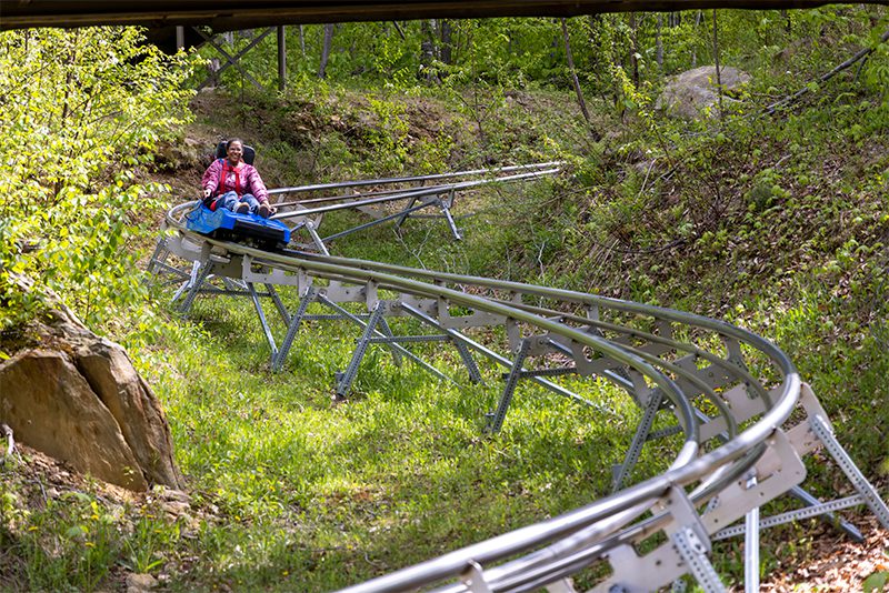 Person in a red jacket rides a blue alpine coaster through a lush, green forest.