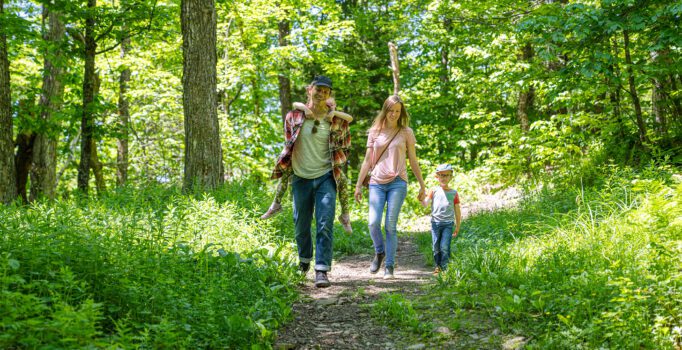 People walking down a dirt path surrounded by lush green trees.