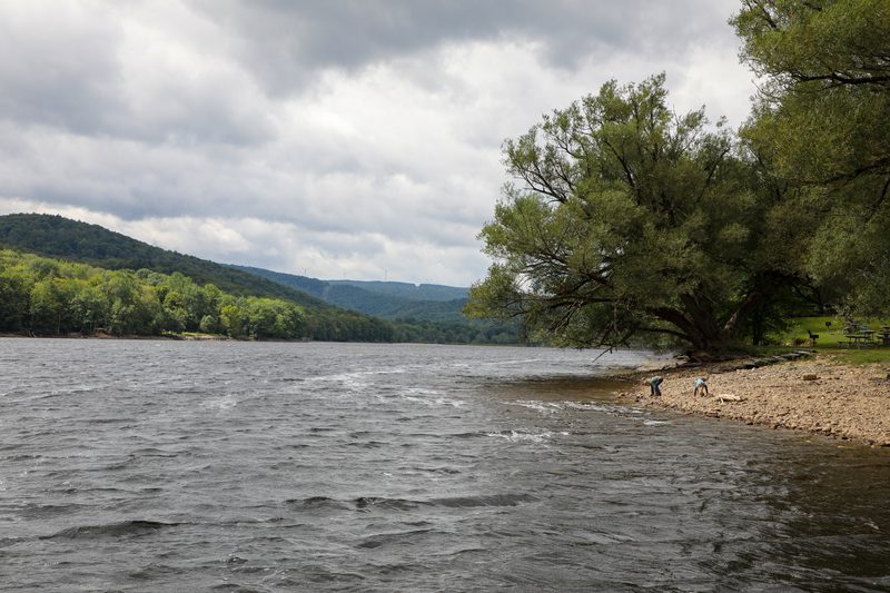 A serene riverside scene with gentle waves under an overcast sky. A large tree stands on the rocky shore, with hills and lush greenery in the background.
