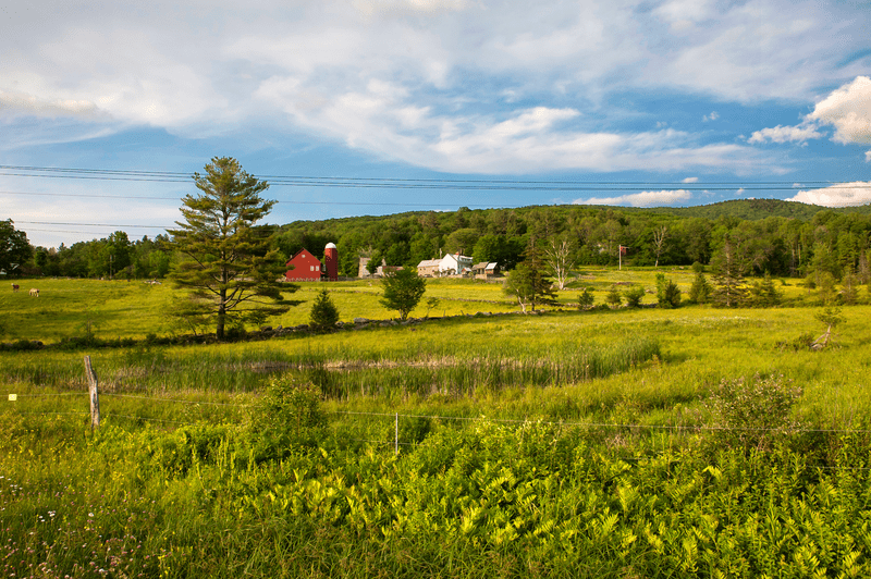 Expansive green field under a blue sky with soft clouds, a red barn, and a white farmhouse in the distance, surrounded by trees.