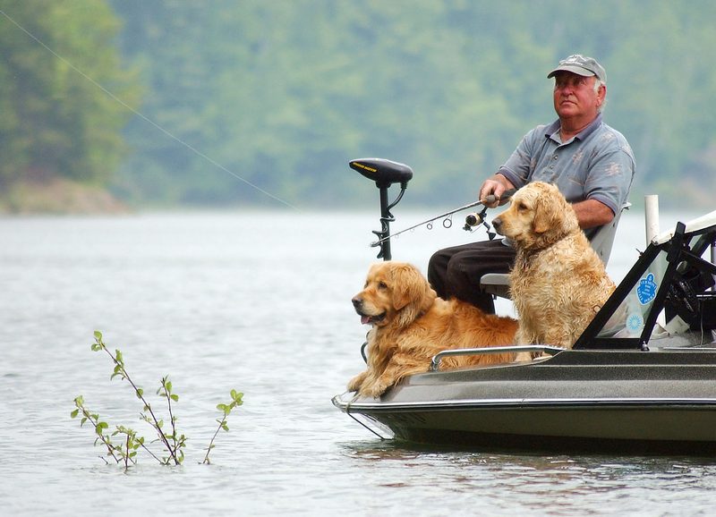 A man and two golden retrievers enjoy fishing together on a calm lake, surrounded by lush green scenery.