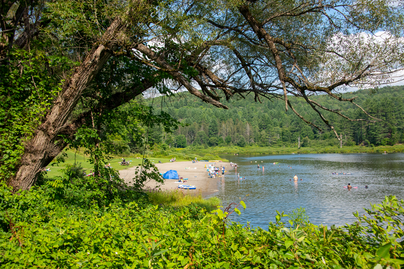 A serene lakeside scene with grassy banks, a few people swimming, and others relaxing on a sandy beach under clear skies and surrounded by lush green trees.