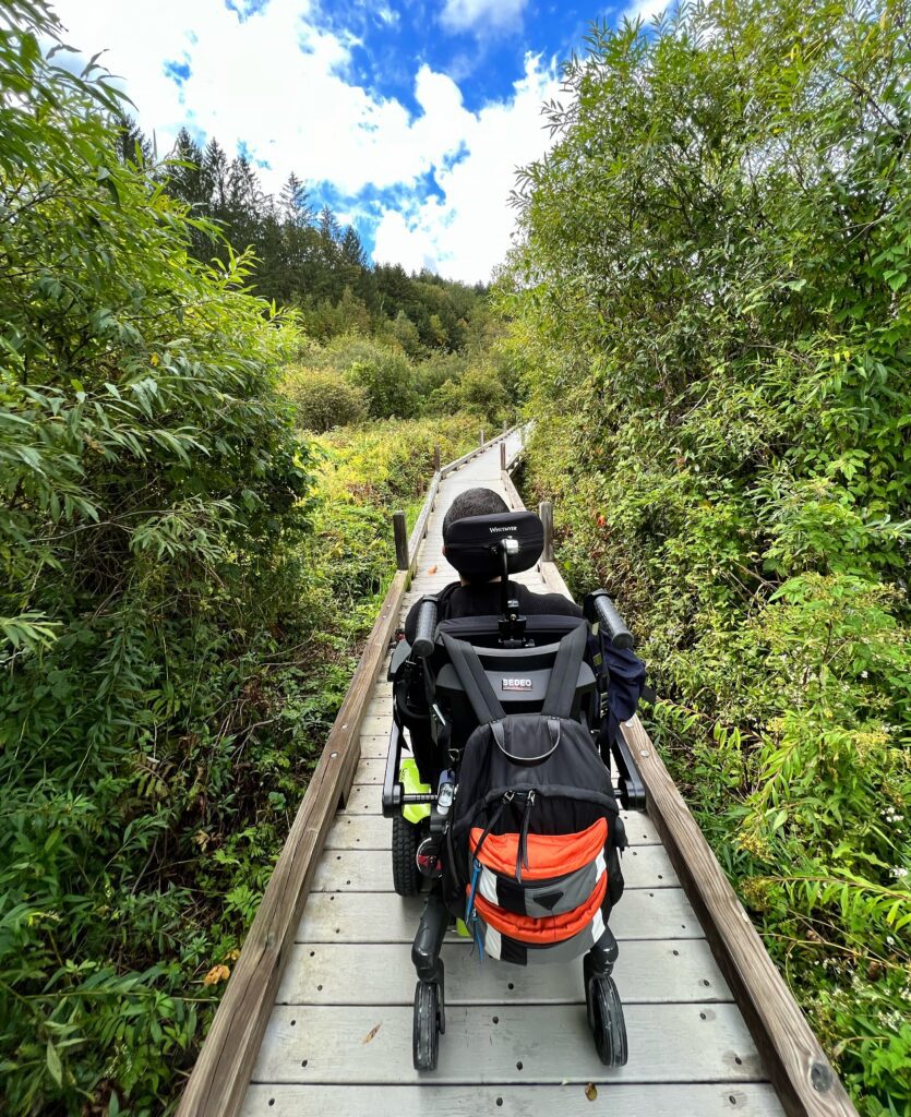 REar view of a person in a wheelchair on a wooden boardwalk through a marsh.