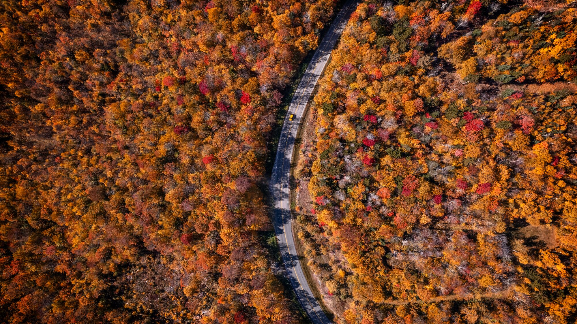 Seen from above, a road curves through a brightly colored forest.