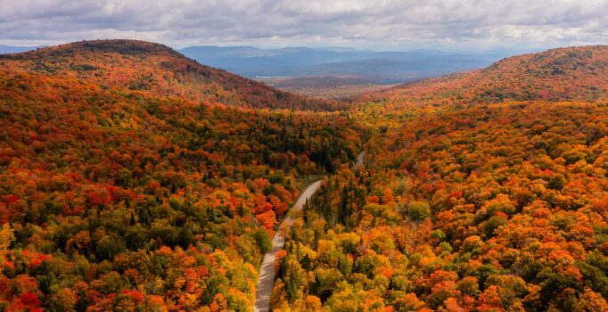 Seen from far above, a road winding through densely forested hills in the fall with trees colored red, orange, and yellow. 