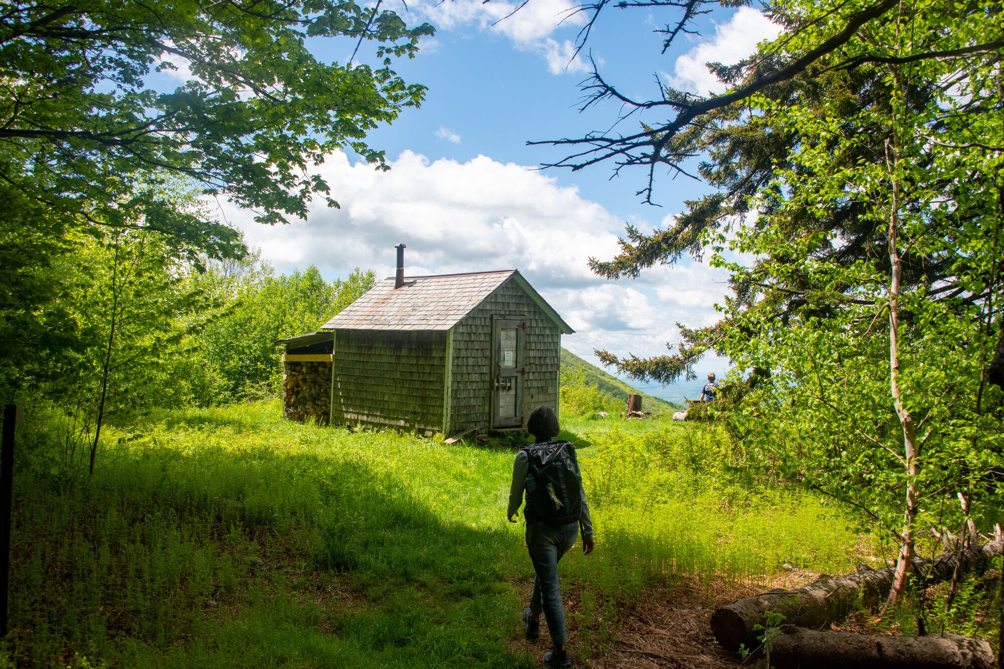 A person walks away from the camera toward a small outbuilding in the woods on a sunny summer day.