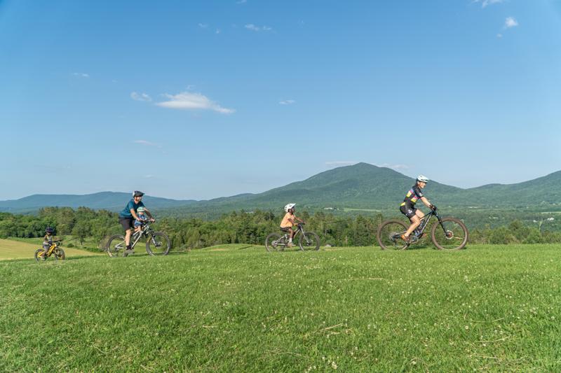 Four people ride mountain bikes in a line across a vibrant green grassy hill, with a sprawling forest and rolling green mountains under a clear sky in the background.