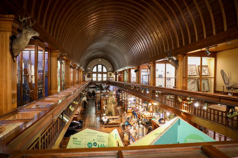 View inside a grand old museum.