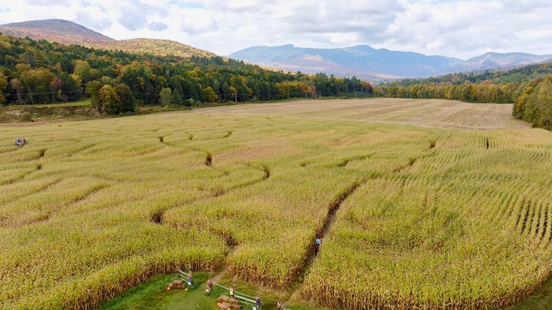Seen from above, a Corn maze in front of picturesque mountains in the fall.