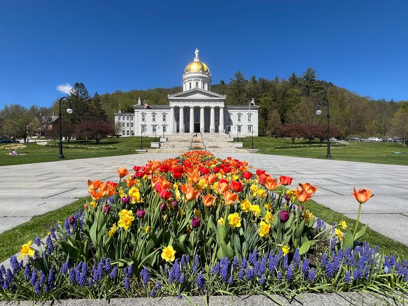 A historic building with a golden dome and colorful flowers in the foreground on a sunny day.