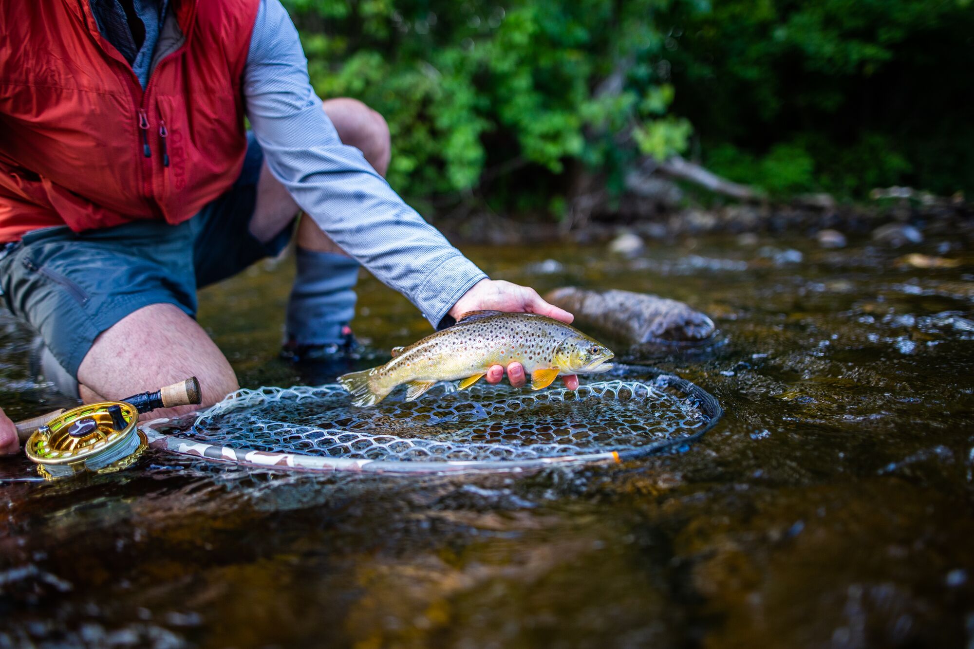 An angler holds a fish near the water in Vermont.
