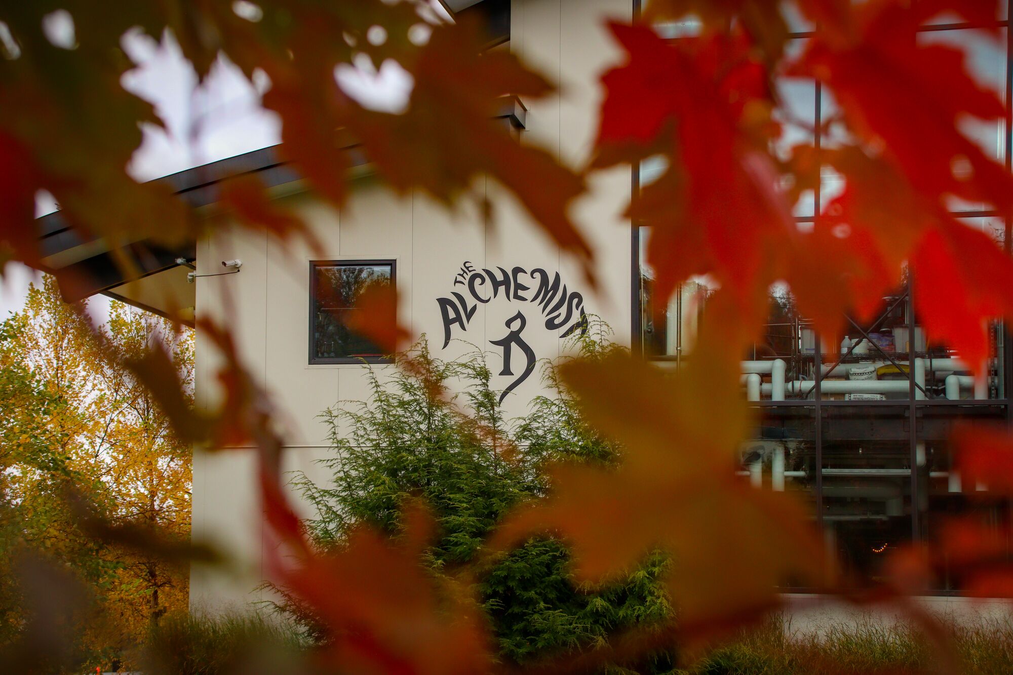 A building with a sign seen through red leaves in Vermont.