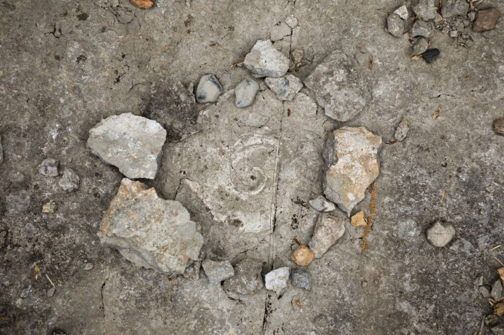 A fossil in stone in Vermont.