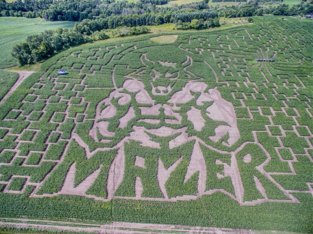 Seen from above, a corn maze in Vermont.