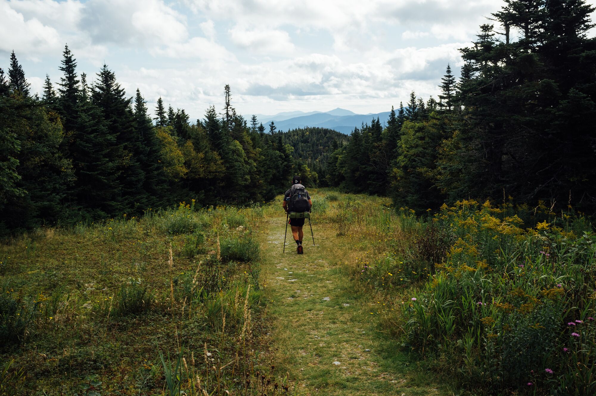 A lone hiker walks along a grassy mountain trail in Vermont.