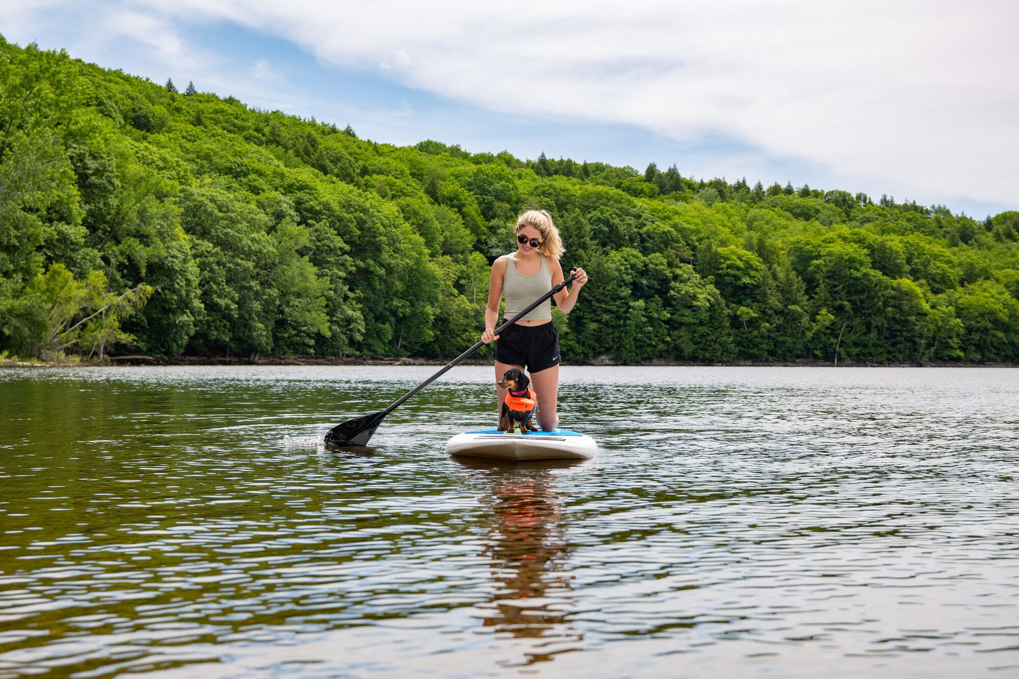A dog and its human ride on a stand-up paddleboard on a river in Vermont.