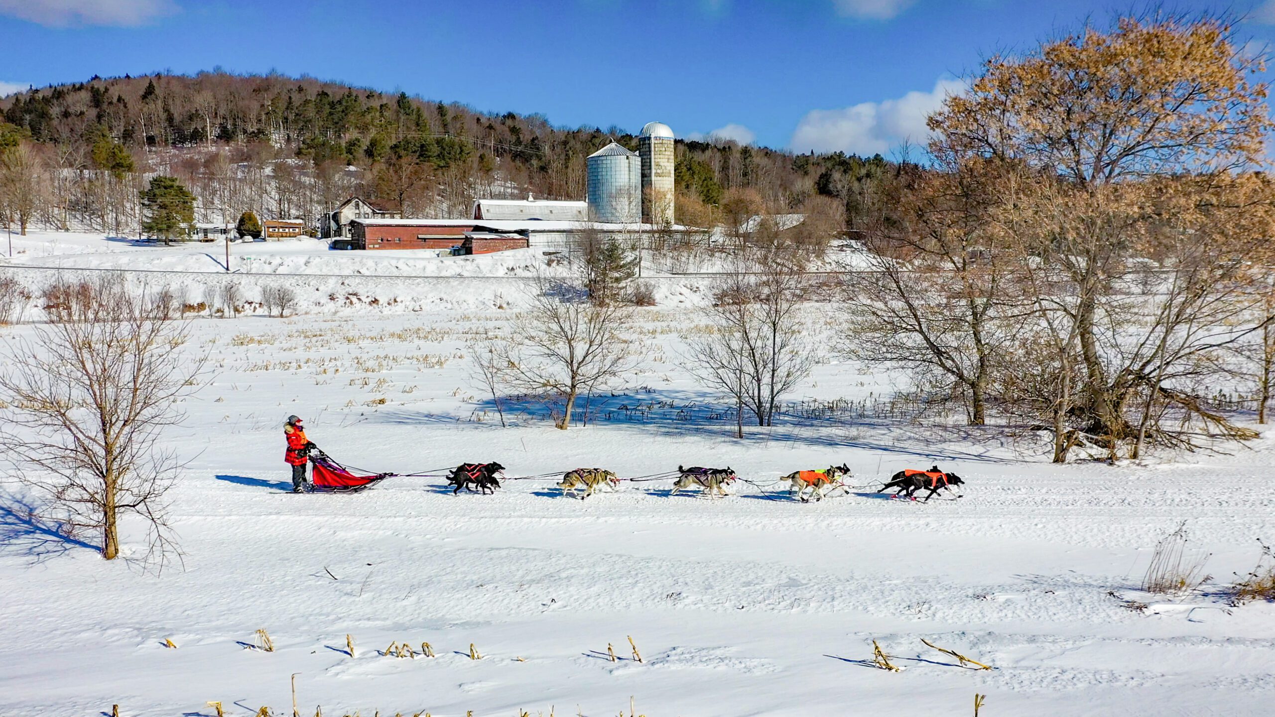 A sled being pulled by several dogs in Vermont.