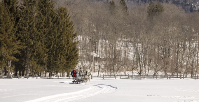 A horse-drawn sleigh carries people across a snowy field.