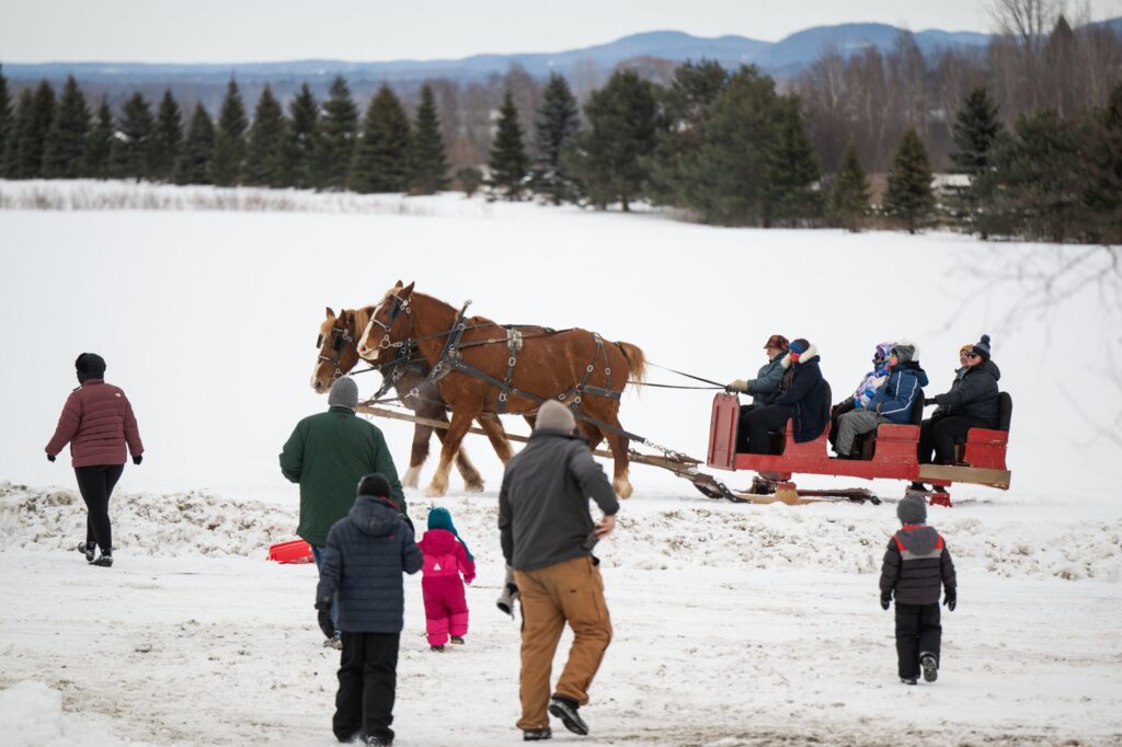 Adults and children gather around a horse-drawn carriage loading passengers in the winter on a sunny day.
