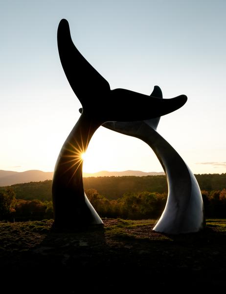 A dusky view of the Whales Tails sculpture in Vermont.