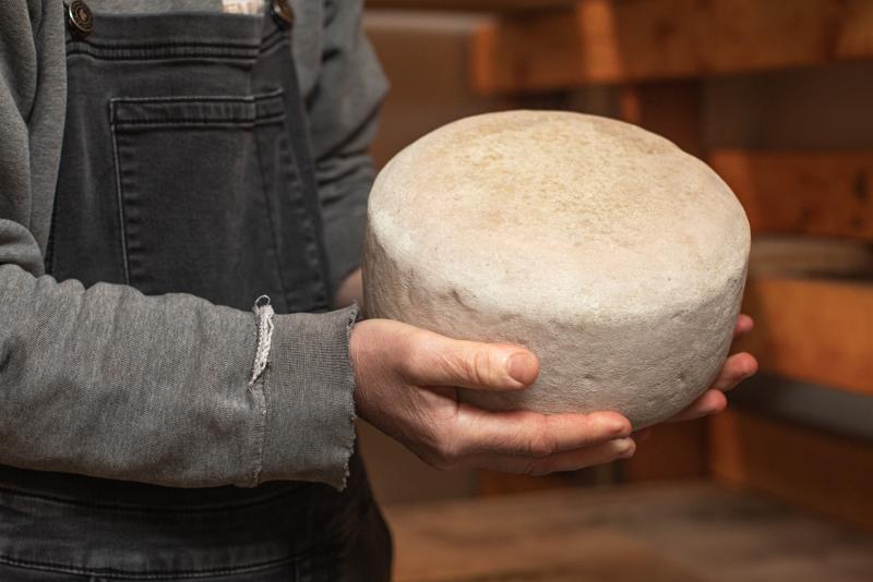 A person holding a wheel of artisan cheese.