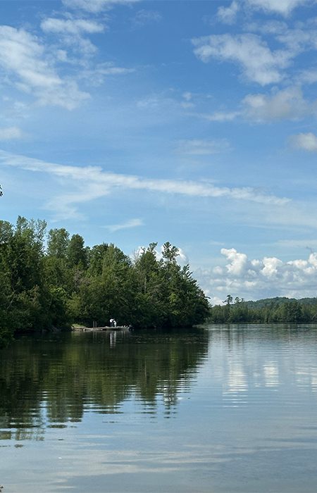 A lake with trees visible surrounding on a sunny summer day.