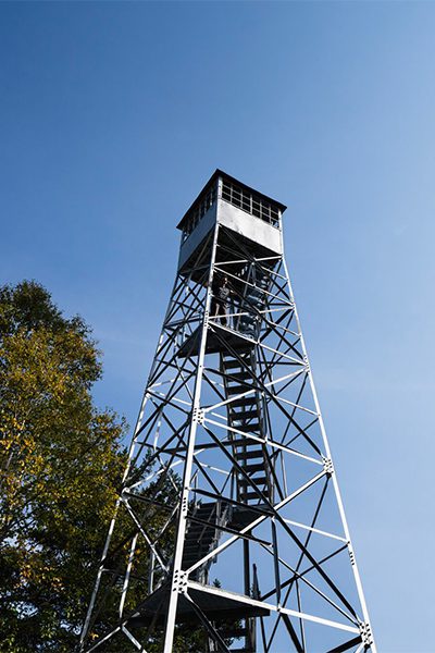 Looking up from a low angle, a tall metal fire lookout tower with an enclosed cab at the top rises into a clear blue sky next to some trees.