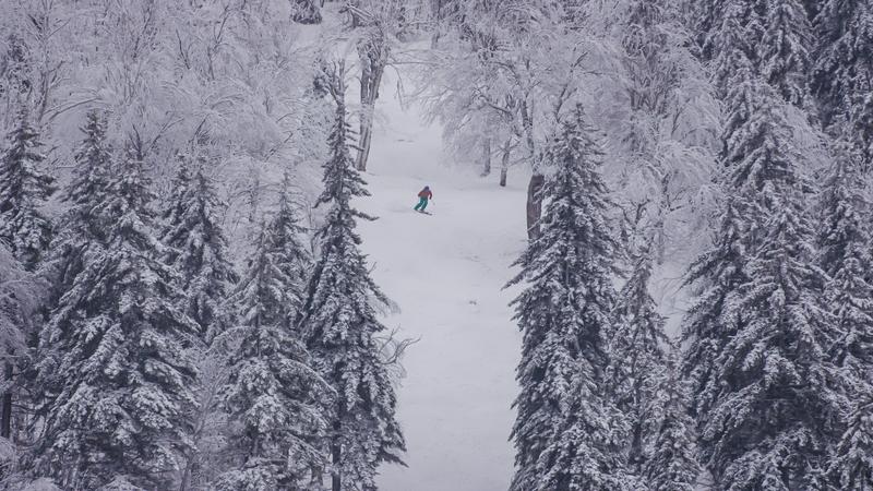 Looking down from a high vantage point, a lone skier navigates a snowy trail surrounded by snow-covered evergreen and deciduous trees during a winter storm.